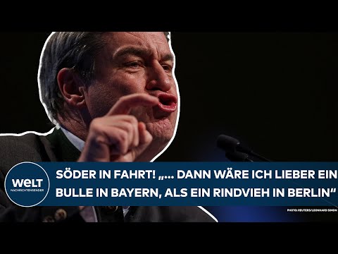 MARKUS SÖDER: "Dann wäre ich lieber Bulle in Bayern als ein Rindvieh in Berlin." CSU-Chef teilt aus