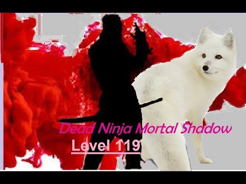 DEAD NINJA MORTAL SHADOW LEVEL 119