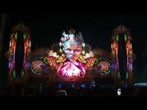 Aardvarkk - Flor da Vida 25/03/2023