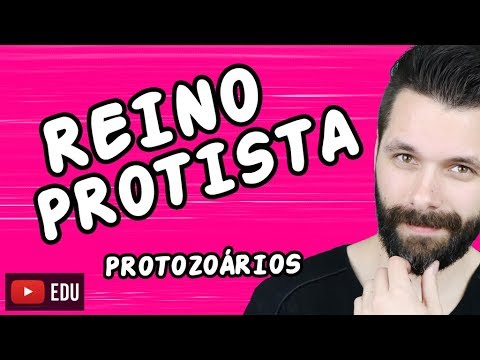 REINO PROTISTA - PROTOCTISTA - PROTOZOÁRIOS Aula | Biologia com Samuel Cunha