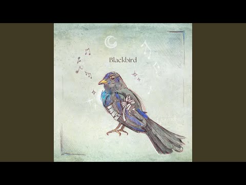 Blackbird