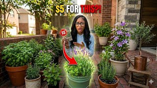 Stop Buying Herbs! How I Save $360/Year Growing  Them in One Pot 