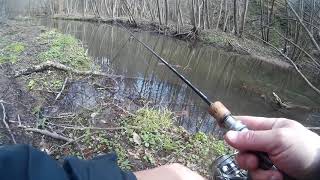 Daiwa сима wise stream 54ul