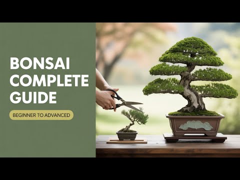Bonsai Trees Complete Guide: History, Styles & Care Tutorial | Beginner to Advanced