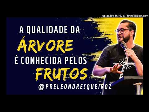 Devocional Qualidade árvore conhec pelo fruto 28 Set 22