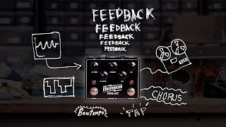 Video thumbnail for The Story of the Benson Delay by Benson Amps