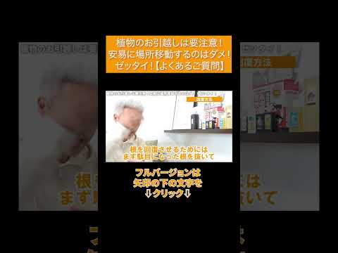 植物を傷つけずに移動したいですか？役に立つヒントを使って、デリケートなミッションを成功させるにはどうすればよいでしょうか?  庭園