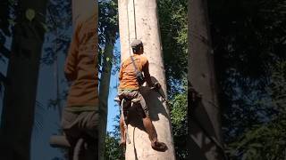 Download lagu Unique way to climb a tree mp3 Download lagu Unique way to climb a tree mp3