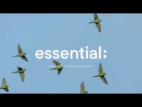 [Playlist] ê¸°ë¶„ ì¢‹ì€ ì‚°ì±…ì´ ë•¡ê¸¸ ë•Œ!ã…£ì„ ì„ í•œ ë‚˜ë“¤ì´ íŒ í”Œë ˆì´ë¦¬ìŠ¤íŠ¸ ...