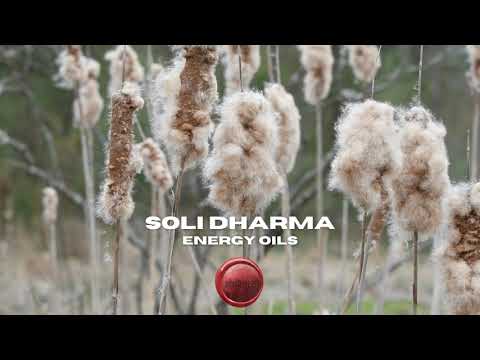 07 ΦΕΒΡΟΥΑΡΙΟΥ 2021 / FEBRUARY 07 2021 SOLI DHARMA ASTROLOGY CALENDAR (Greek version)