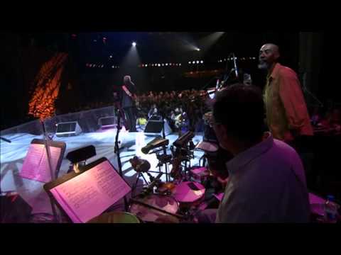 Celso Fonseca - "Meu Samba Torto"