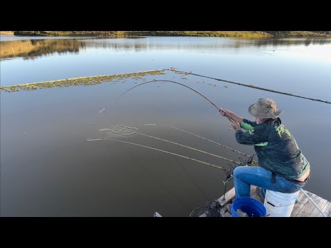 Pescaria com rabichinho pesca sem isca. 