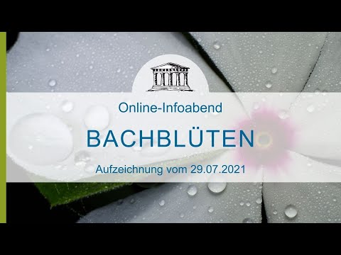 Bachblüten