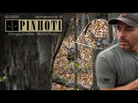 BIG BUCK LOCKED DOWN with a DOE |  KENTUCKY BOW HUNTING in the HARDWOODS- UNGULATE EDITION 2022