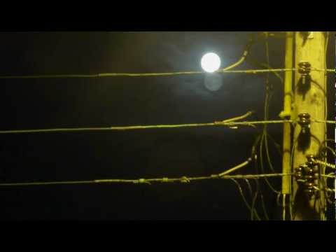 Urban Myth Club - Atlantic