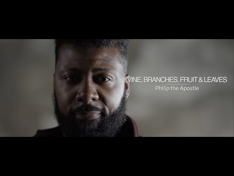 Witness21 Editor  2019 07 18