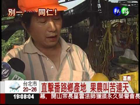 真有2元柿! 次級水柿通常當肥料