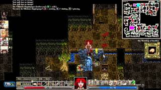 [S36][P4] Dungeons of Dredmor - You have to name the expansion