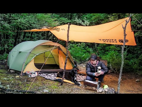 Solo TENT Camping with my Dog (Cooking on Campfire)