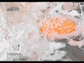 Sabun Giv Untuk Kulit Cantik Putih Alami Iklan