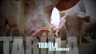 Adelanto TabüLa - Es el momento - 2013