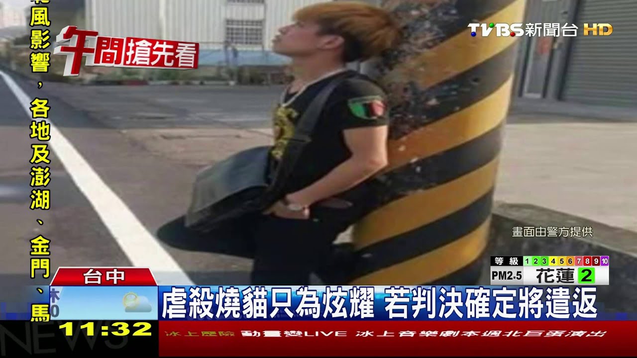 太殘忍!越勞噴槍燒除貓毛 還po網炫耀