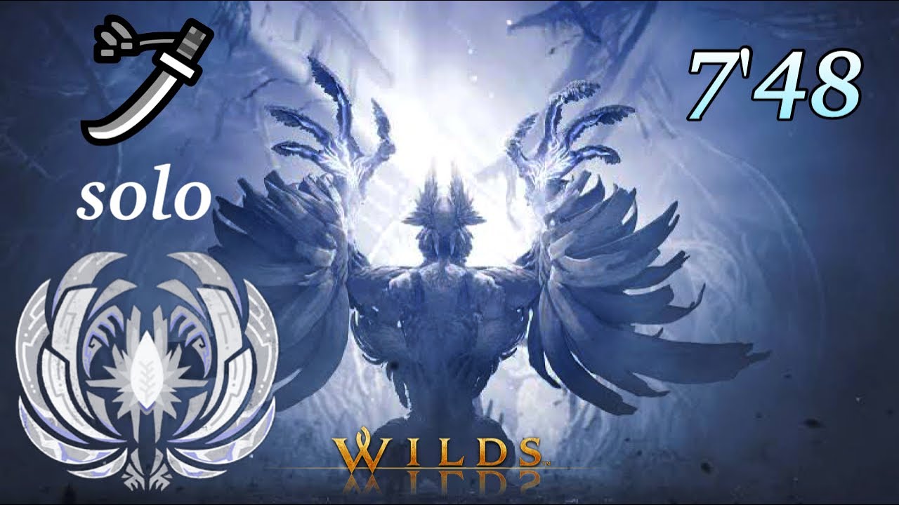 【MHWilds】ゾ・シア 太刀ソロ 7'48 落石あり