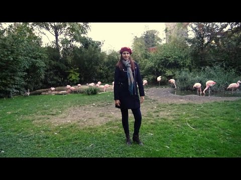 Германия, муж-тиран, автокино, франкфуртский зоопарк