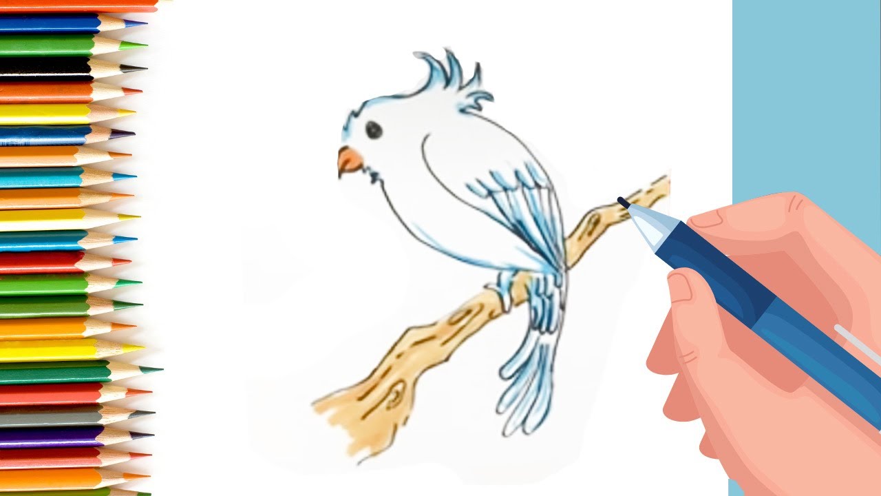 How to Draw easy Bird 🦜 step by step for Kids  #shorts