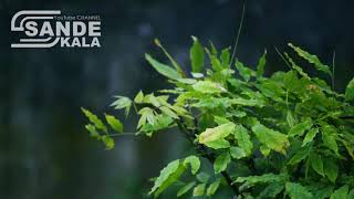 Download lagu TAYUBAN KLASIK DADANG & JAYANA mp3 Download lagu TAYUBAN KLASIK DADANG & JAYANA mp3
