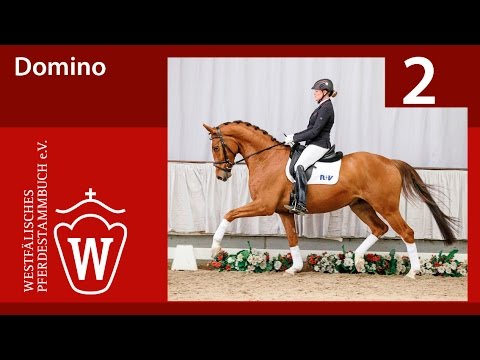 02 Domino Wallach v. Daley Thompson - Dancier