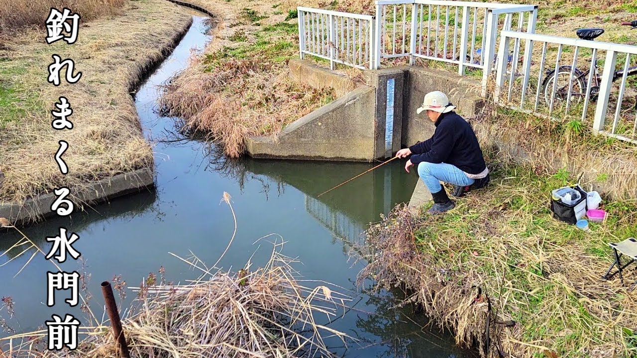 田舎の誰も釣りしない真冬の水路水門前でウキ釣りしてみたら、奇跡の展開に！