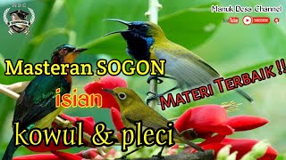 Download lagu MASTERAN SOGON MATERI TERBAIK KOWUL & PLECI mp3 Download lagu MASTERAN SOGON MATERI TERBAIK KOWUL & PLECI mp3