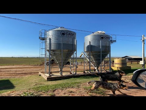 Fazenda à Venda em Presidente Venceslau-SP | 500 Alqueires | Pecuária Completa