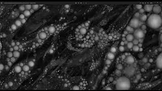 3D Imaging of 42-Day Differentiated Adipocytes Using Holotomography