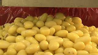 Thumbnail del capítulo