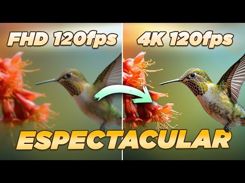 4K 120 FPS por MENOS de 300€