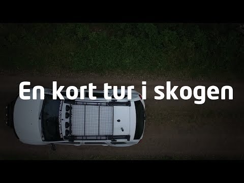 Dusterforum.se - En kort tur i skogen