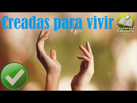 Reflexiones cristianas, Creadas para vivir, actitud frente a la vida