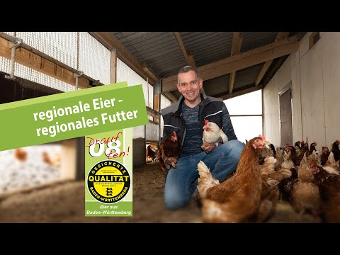 Regionales Hühnerfutter: Mit selbst angebaute Getreide reduzieren wir Transportwege