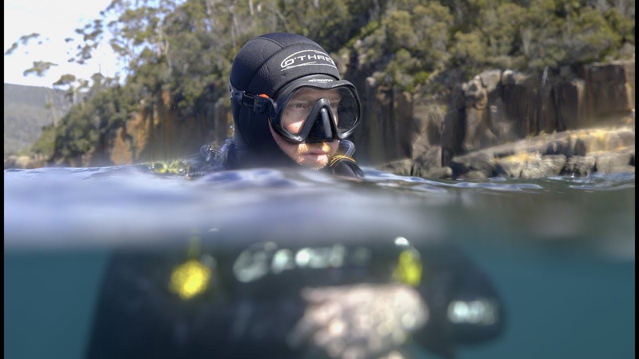 Tasmania Giant Kelp Forest Restoration