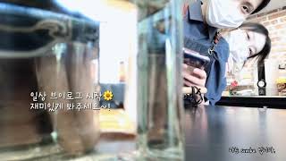 sonoka의 일상🍋 #VLOG