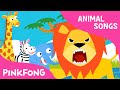Hakuna matata | Animal Songs | PINKFONG Songs for Children