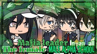 🐺The Female Mafia Leader In An All Male Alpha S