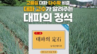 고품질 대파 다수확 노하우 총정리! 이것만 알면 됩니다! 대파의 정석
