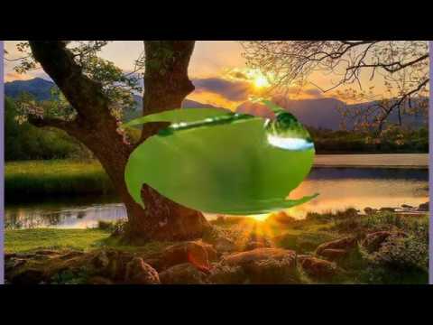 ClauDio Girotto    Vieni Signore Gesù   2020 02 02