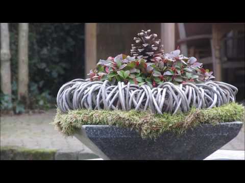 Canon PowerShot SX130 IS   TEST(photographs)