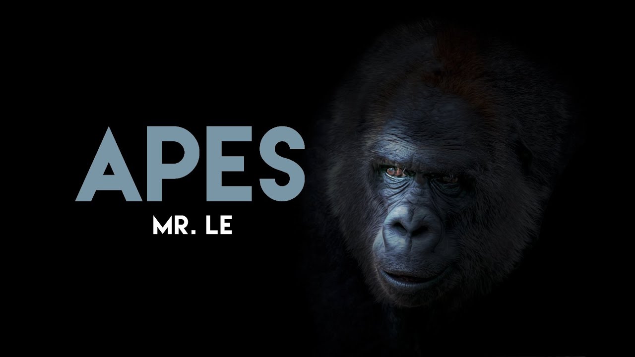 APES Chapter 9 Part 1 Screencast