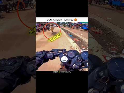 Cow Attack 😡 | Motovlogs
