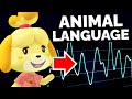 The hidden meaning behind the Animal Crossing language